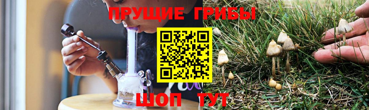 Черногорск  Псилоцибиновые грибы Magic Shrooms  купить наркотик  Псилоцибиновые грибы мухоморы  Вход с VPN 